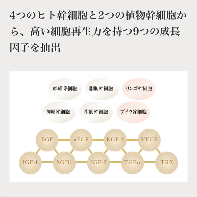 モナリ 復元磁気パック マグネット monnali レストレーションパック 美白 コスメ/美容のスキンケア/基礎化粧品(パック/フェイスマスク)の商品写真