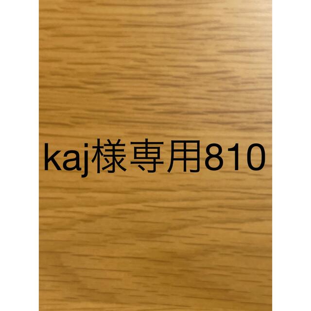 kaj様専用810 その他のペット用品(犬)の商品写真