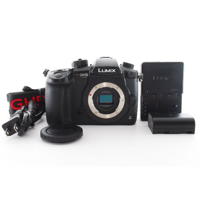 特価販売 パナソニック Panasonic LUMIX DC-GH スマホ/家電/カメラ