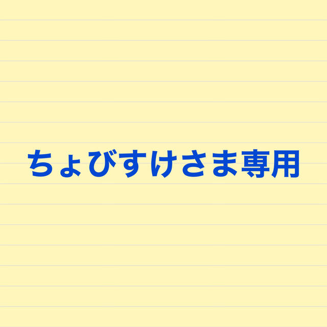 ちょびすけさま専用その他