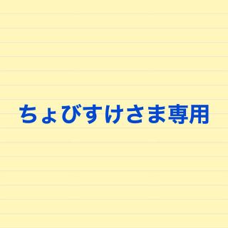 ちょびすけさま専用(その他)