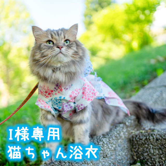 日本買い 猫ちゃんさん専用 www.villademar.com