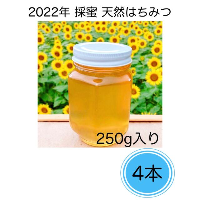 超人気 専門店 藤の生はちみつ 2023 4採蜜 新蜜 国産 蜂蜜