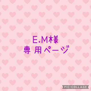 E.M様 プリンセス☆お弁当袋オーダー専用ページ (ランチボックス巾着)