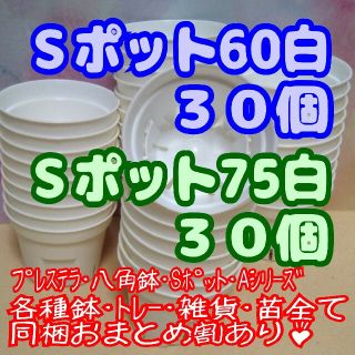 プラ鉢 《Ｓポット丸型60＆75》 白 各30個 プレステラ 多肉植物 プラ鉢(プランター)