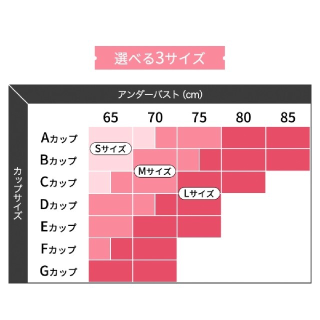 GYDA(ジェイダ)のSサイズ 2枚 アガリズム ナイトブラ 正規品 GYDA レディースの下着/アンダーウェア(その他)の商品写真