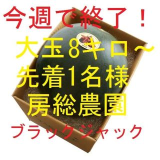 先着1名様！！ラスト出品！ブラックジャック(フルーツ)