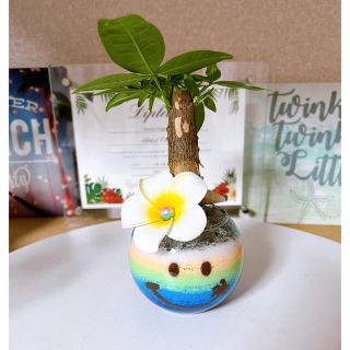 カラーサンドアート ハワイ ハワイアン プルメリア