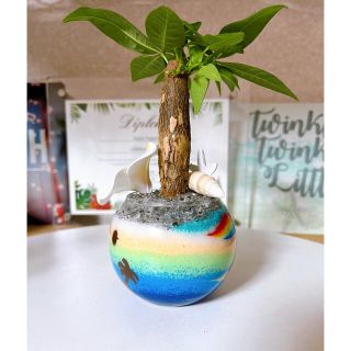 カラーサンドアート ハワイ ハワイアン プルメリア