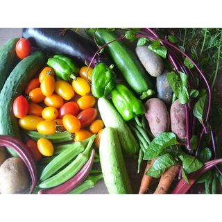 野菜セット　80サイズ（70㎝箱）　農薬・化学肥料不使用(野菜)