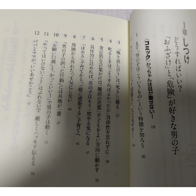 男の子を伸ばす育て方 エンタメ/ホビーの本(住まい/暮らし/子育て)の商品写真