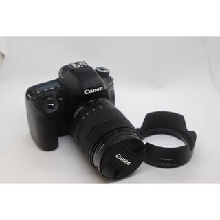 キヤノン(Canon)のCanon EOS 80d + EF 18-135 USM(デジタル一眼)