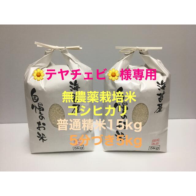 保障できる テヤチェビ 令和3年 無農薬コシヒカリ普通精米15kg、5分