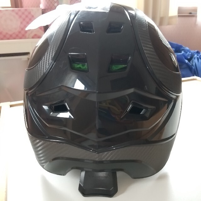 ファナー プロトスインテグラル 林業用ヘルメット