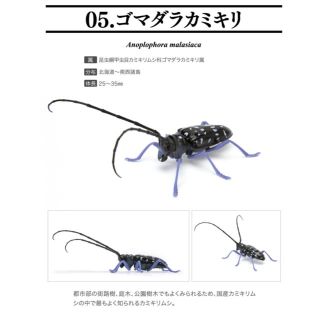 バンダイ(BANDAI)の香蕉魚様専用ページいきもの大図鑑ゴマダラカミキリ未開封(その他)