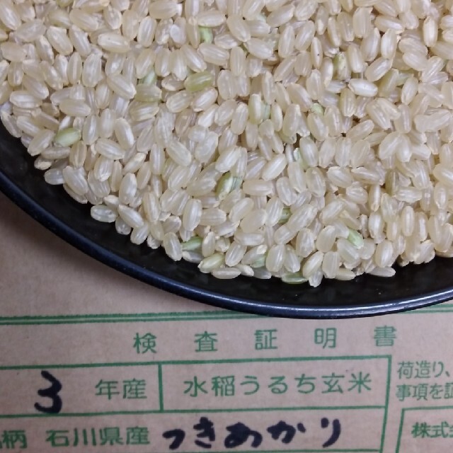中国地方　玄米　３０kg  つきあかり 食品/飲料/酒の食品(米/穀物)の商品写真