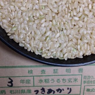 中国地方　玄米　３０kg  つきあかり(米/穀物)