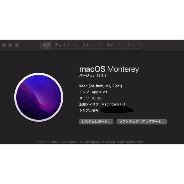 Apple(アップル)のM1 iMac Blue スマホ/家電/カメラのPC/タブレット(デスクトップ型PC)の商品写真