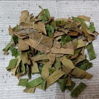 カット済み乾燥ビワの葉(50g)(茶)