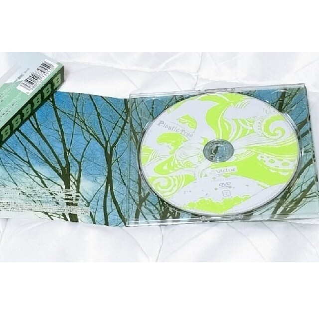 Plastic Tree【続B面画報(CD+DVD)】 エンタメ/ホビーのCD(ポップス/ロック(邦楽))の商品写真