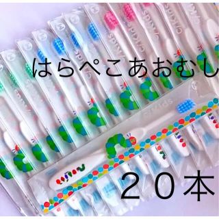 はらぺこあおむし こども歯ブラシ ふつう   ２０本　歯科専売(歯ブラシ/歯みがき用品)