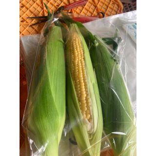 とうもろこし A品１0本(^O^)(野菜)