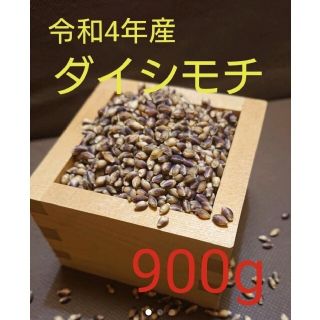 令和4年産 ダイシモチ 玄麦(米/穀物)