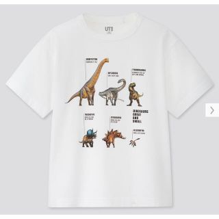 ユニクロ(UNIQLO)のUNIQLO UT 恐竜　ナチュラルヒストリーミュージアム(Tシャツ/カットソー)