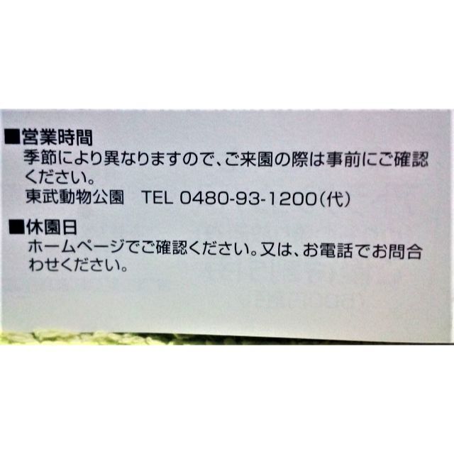 12/31迄東武動物公園入園料無料券+アトラクションパス500円割引券のセット② チケットの施設利用券(動物園)の商品写真