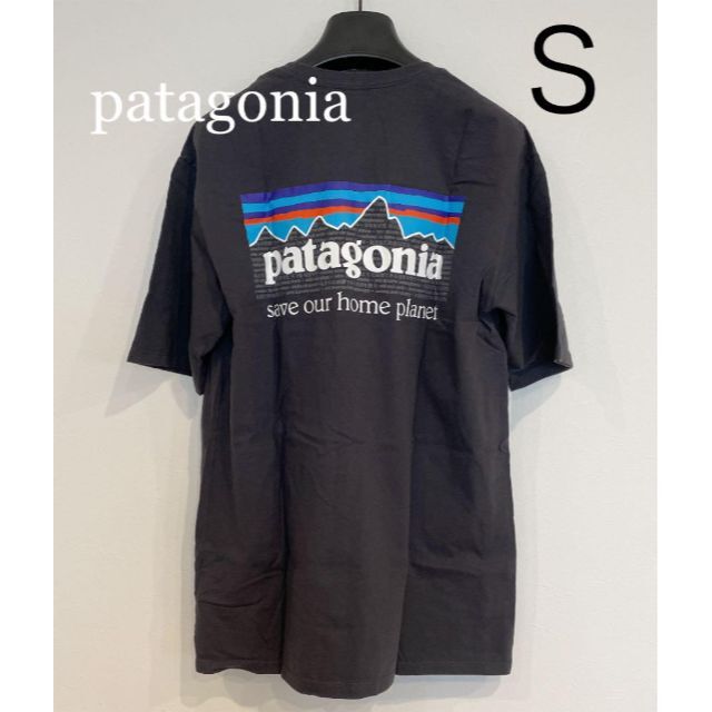 patagonia パタゴニア Tシャツ 半袖 シャツ 37529 新品