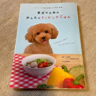 愛犬のためのかんたんトッピングごはん ドライフ－ドにちょい足しで手軽に健康！(住まい/暮らし/子育て)