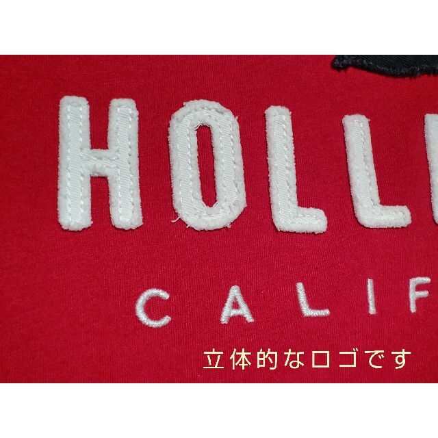 Hollister(ホリスター)のホリスター Tシャツ メンズ S ロゴ メンズのトップス(Tシャツ/カットソー(半袖/袖なし))の商品写真