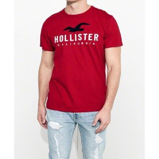 ホリスター(Hollister)のホリスター Tシャツ メンズ S ロゴ(Tシャツ/カットソー(半袖/袖なし))