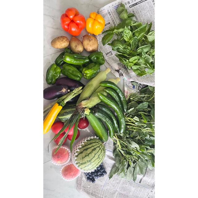 南信州の夏野菜とフルーツ詰め合わせ！見切り品パプリカ詰め放題 食品/飲料/酒の食品(野菜)の商品写真