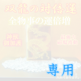※G様専用（双龍の対倍運＋銀龍の浄化）(その他)