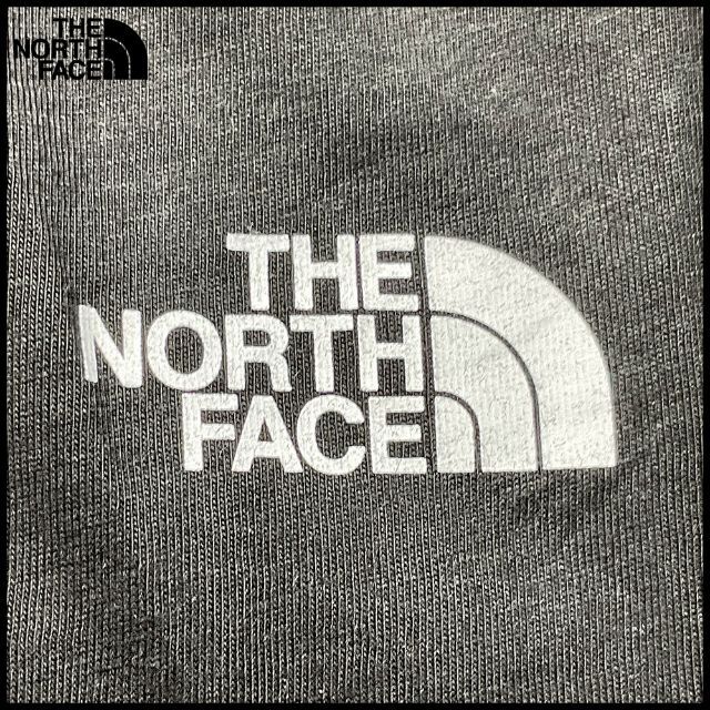 THE NORTH FACE(ザノースフェイス)のノースフェイス The North Face 半袖Tシャツ (23256) メンズのトップス(Tシャツ/カットソー(半袖/袖なし))の商品写真