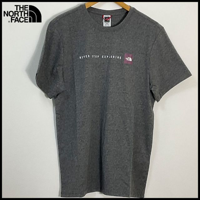 THE NORTH FACE(ザノースフェイス)のノースフェイス The North Face 半袖Tシャツ (13155) メンズのトップス(Tシャツ/カットソー(半袖/袖なし))の商品写真