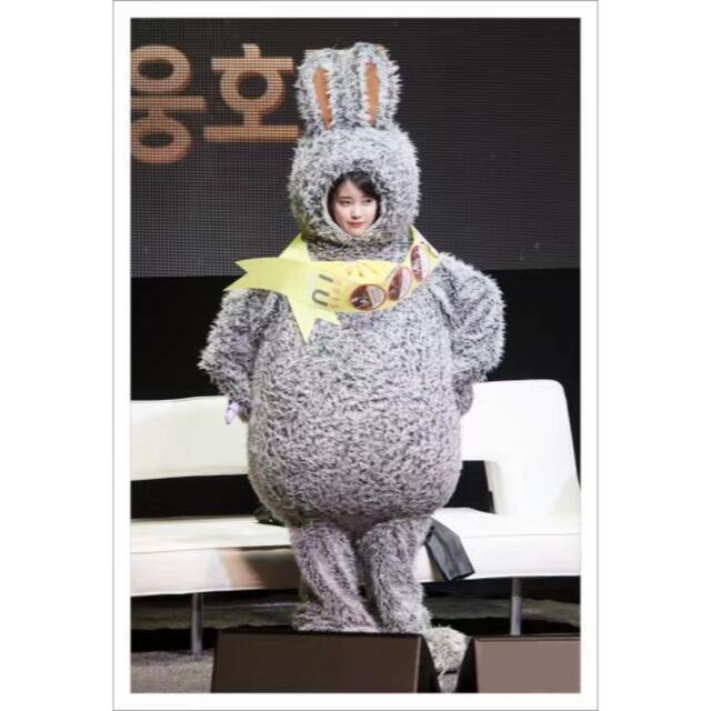 IU アイユー トッキユ うさぎU ぬいぐるみ 20cmの通販 by J|ラクマ IU アイユー トッキユ うさぎU ぬいぐるみ 20cmの通販 by J|ラクマ