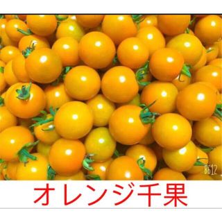 完熟ミニトマト　オレンジ千果　無農薬(野菜)