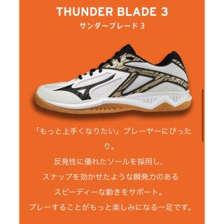 ミズノ(MIZUNO)のミズノ　「THUNDER BLADE 3」バレーシューズ(バレーボール)