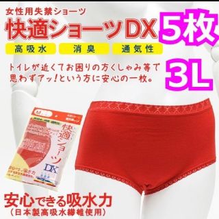 【新品】3Lサイズ 5枚セット 女性用 軽失禁ショーツ 快適ショーツDX(ショーツ)