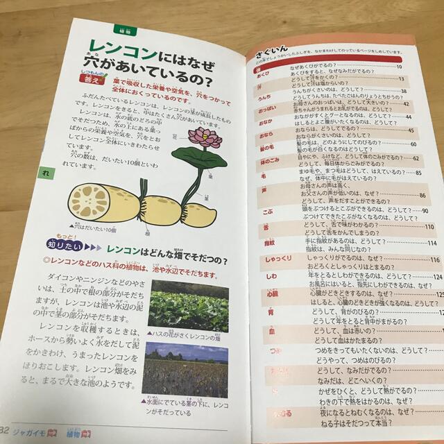 辞書びきえほん　科学のふしぎ　夏休み　自由研究 エンタメ/ホビーの本(絵本/児童書)の商品写真