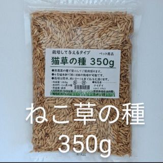 猫草の種 350g エン麦 犬 猫 ハムスター 小動物のお腹をキレイに(ペットフード)