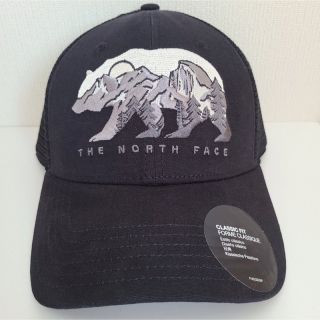 ザノースフェイス(THE NORTH FACE)のノースフェイスキャップ（アメリカ限定）(キャップ)