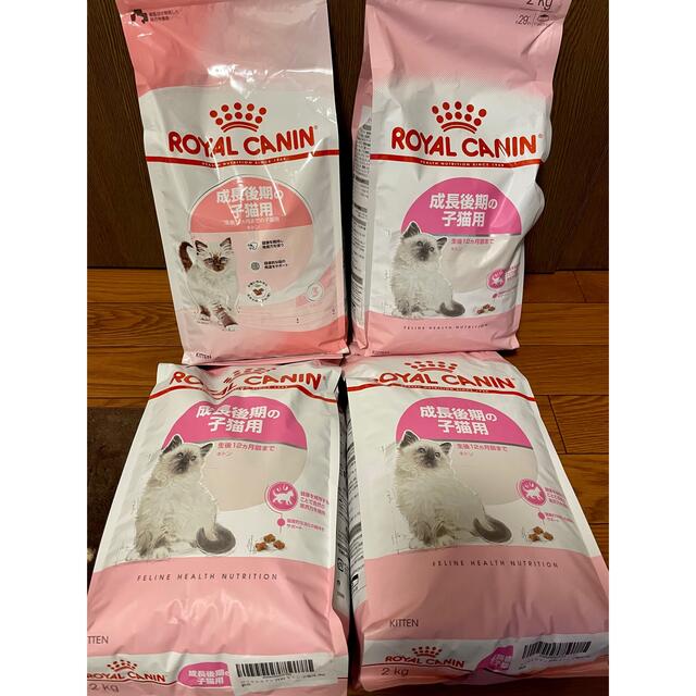 ペットフードROYAL CANIN（ロイヤルカナン）成長後期の子猫用