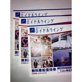 まなつ様専用ロイヤルウイング乗船料無料券(その他)