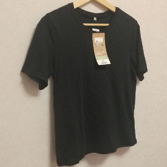 しまむら(シマムラ)の襟よれ防止 オーガニックコットン Tシャツ✨ レディースのトップス(Tシャツ(半袖/袖なし))の商品写真