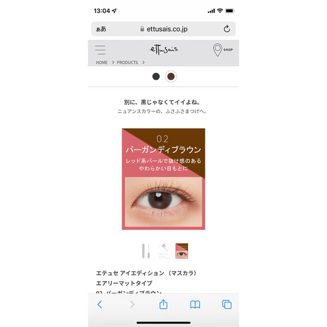 ettusais(エテュセ)のエテュセ アイエディション マスカラ 02 バーガンディブラウン コスメ/美容のベースメイク/化粧品(マスカラ)の商品写真