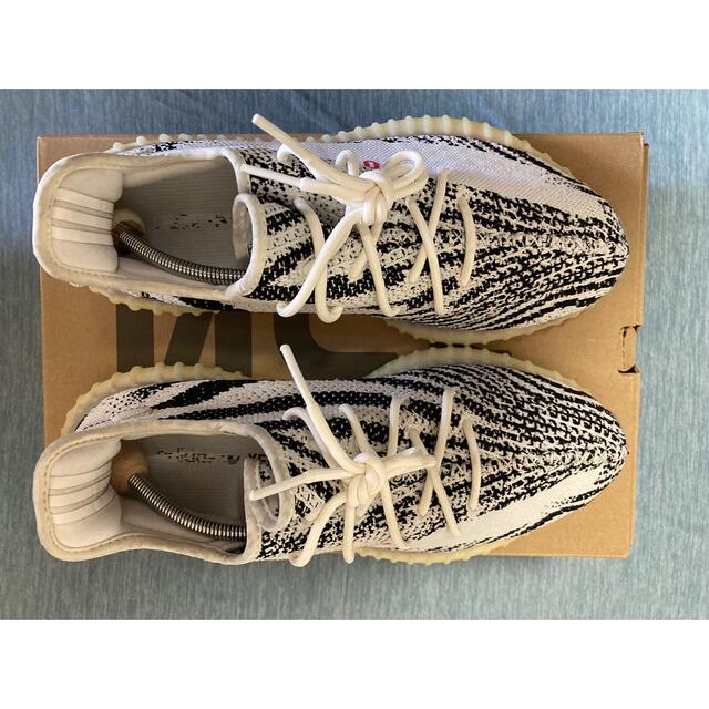 adidas yeezy boost 350ゼブラ美品です-tops.edu.ng