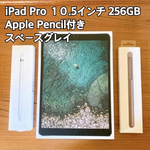 値下げ中！【美品】iPad Pro 256gb Apple Pencil付きスマホ/家電/カメラ